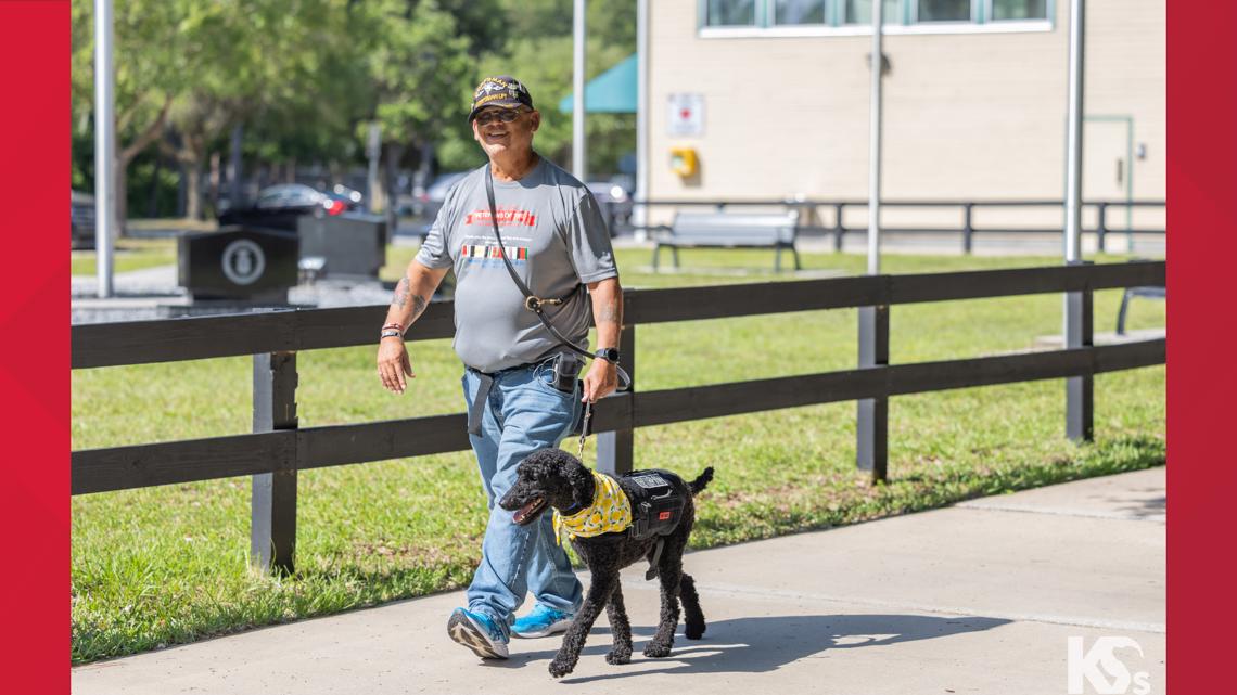'Better than pills': How a Navy medic found healing at K9s for Warriors through his service dog, Mary Lee
