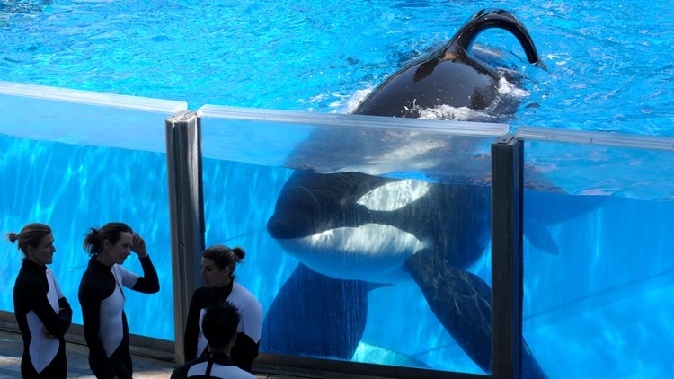 SeaWorld closes theme parks through the end of the month | kens5.com