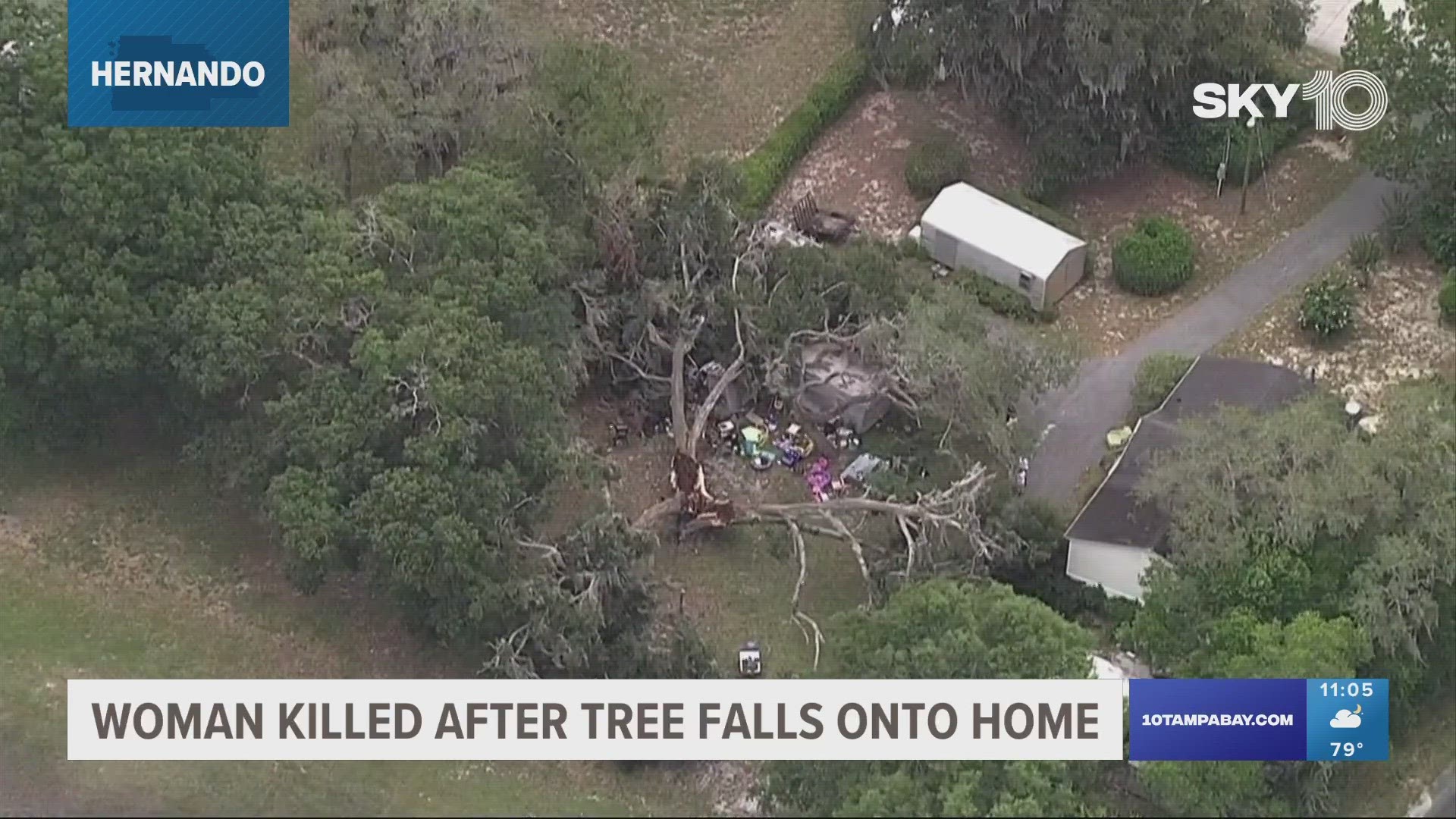 Weeki Wachee woman dies after tree falls onto mobile home | kens5.com