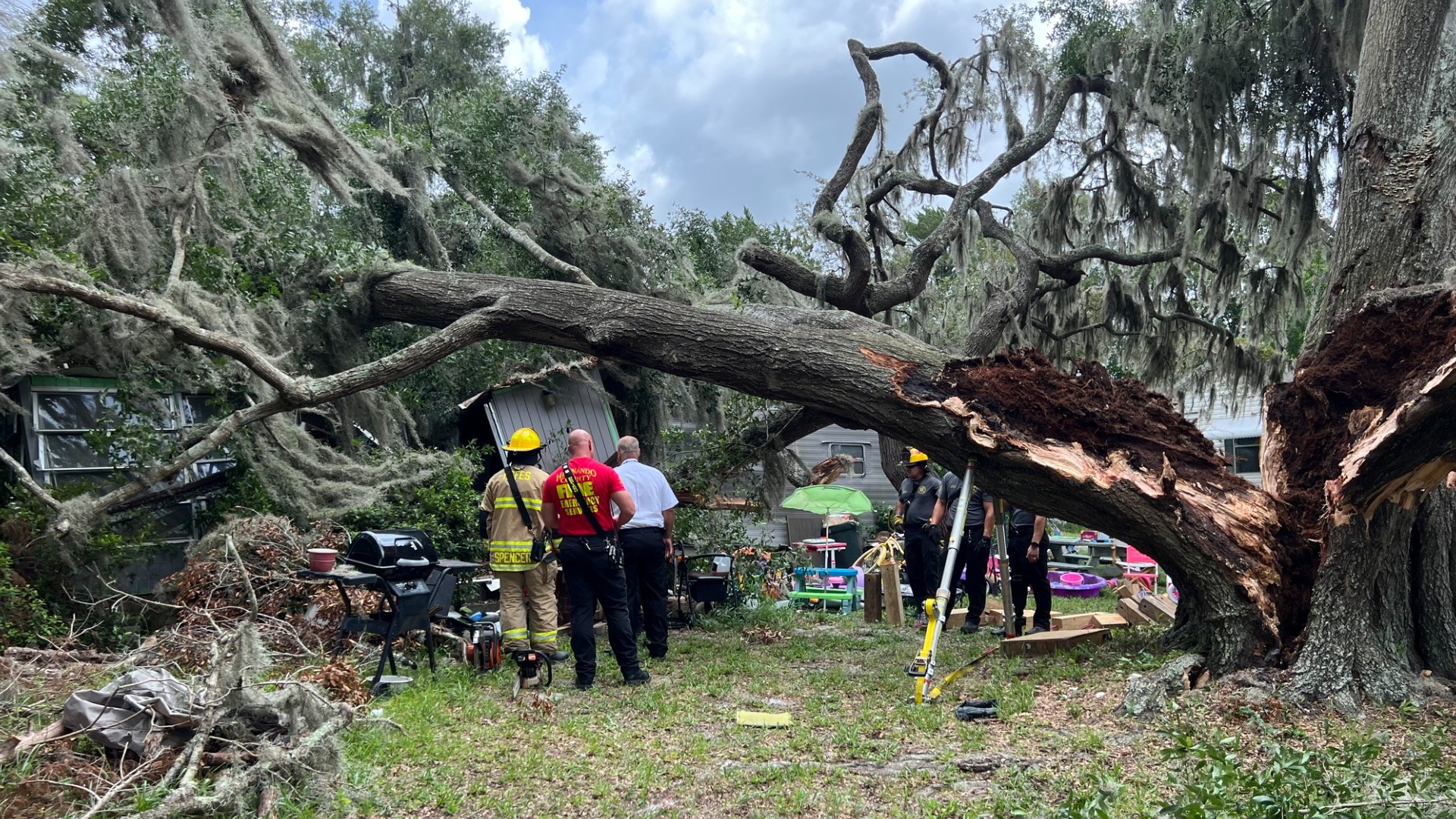 Weeki Wachee woman dies after tree falls onto mobile home | kens5.com
