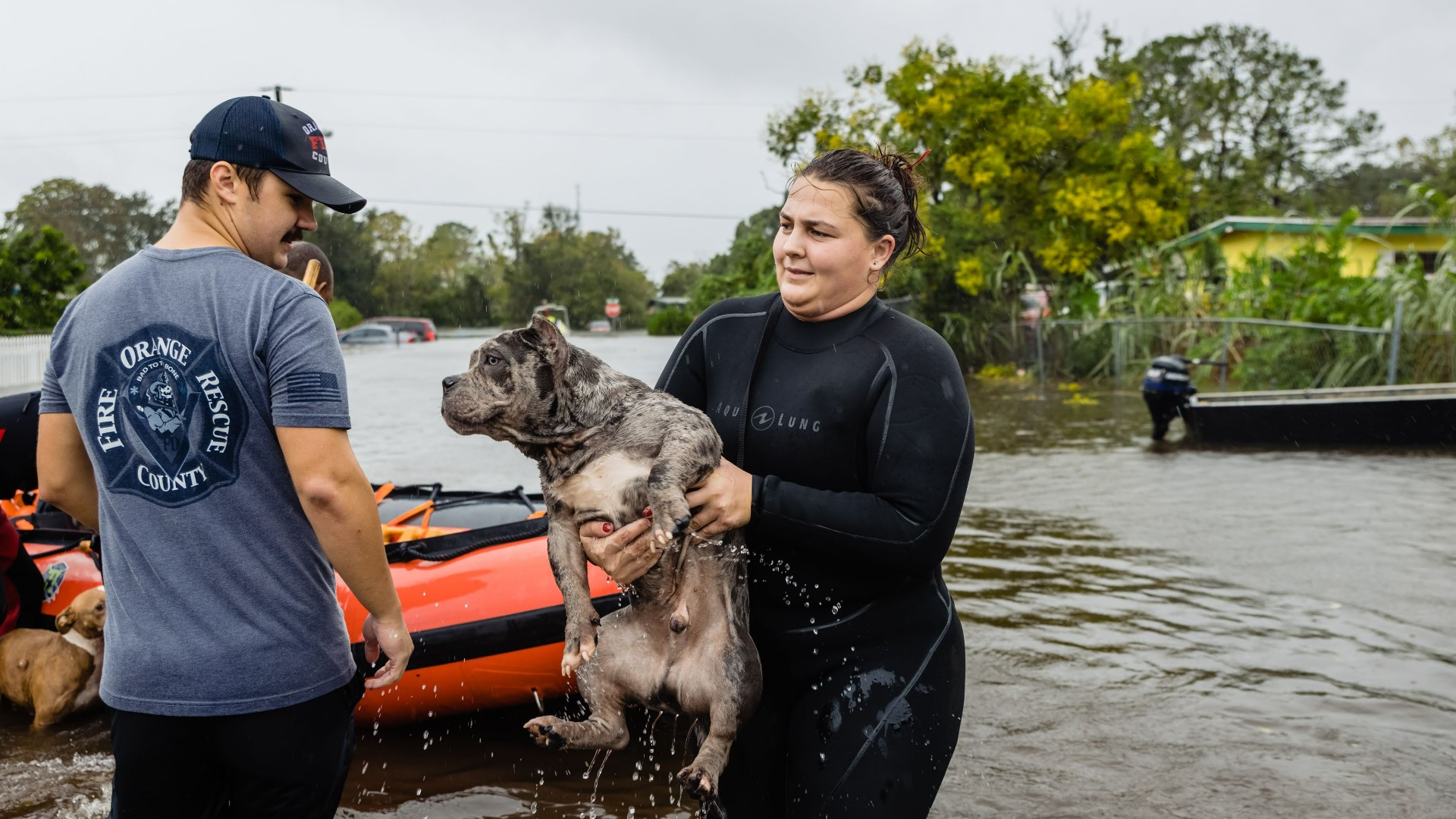 Pets and owners rescued from flood waters after Hurricane Ian | kens5.com