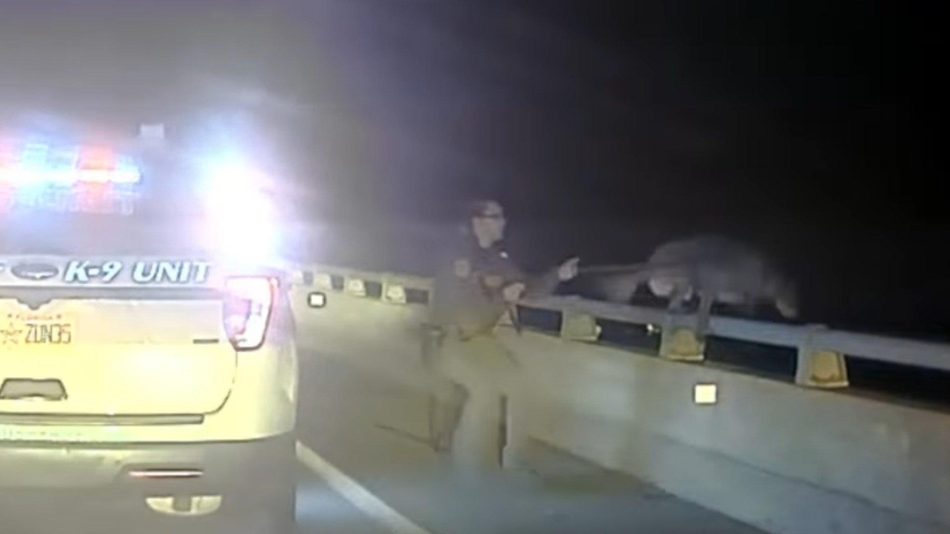 The Brevard County Sheriff's Office posted a video to Facebook of a deputy grabbing her K-9's leash and pulling him to safety when he tried to jump off a bridge.