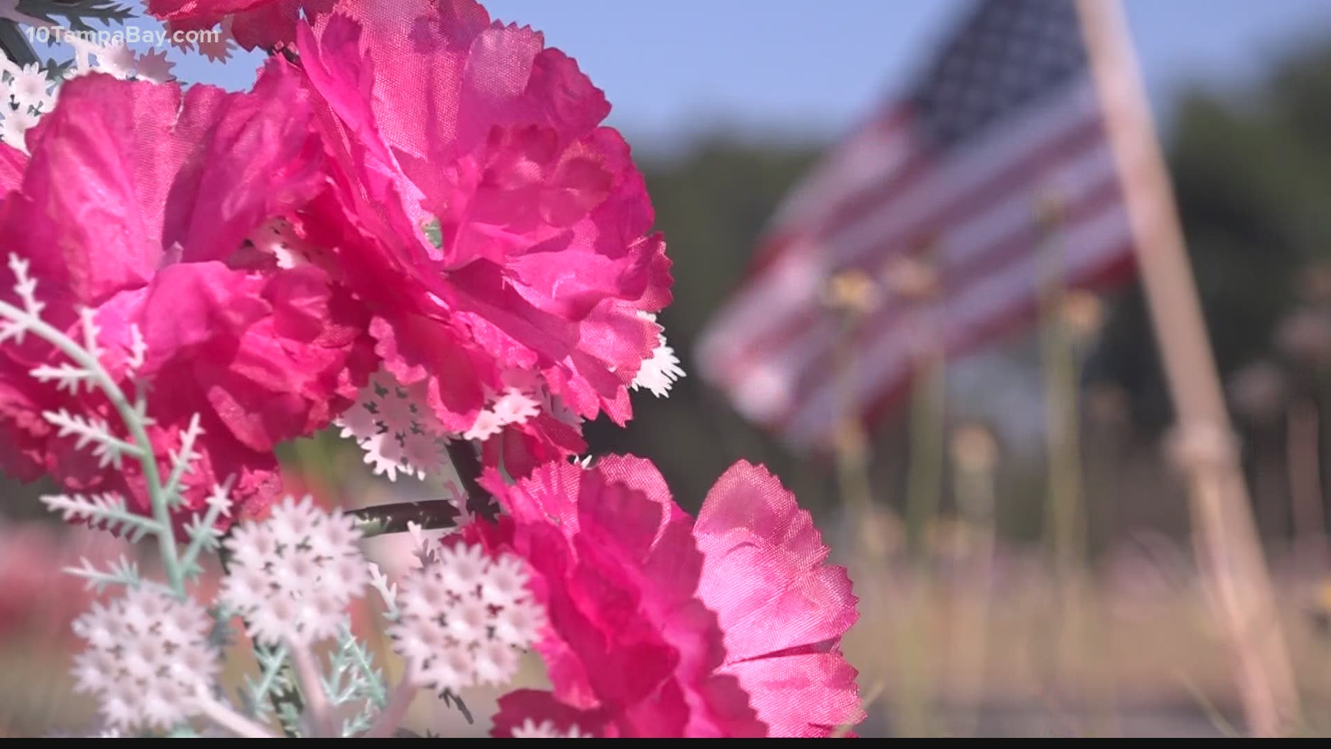 Vietnam veteran David Harris has lost friends in war and many he considered to be his family.