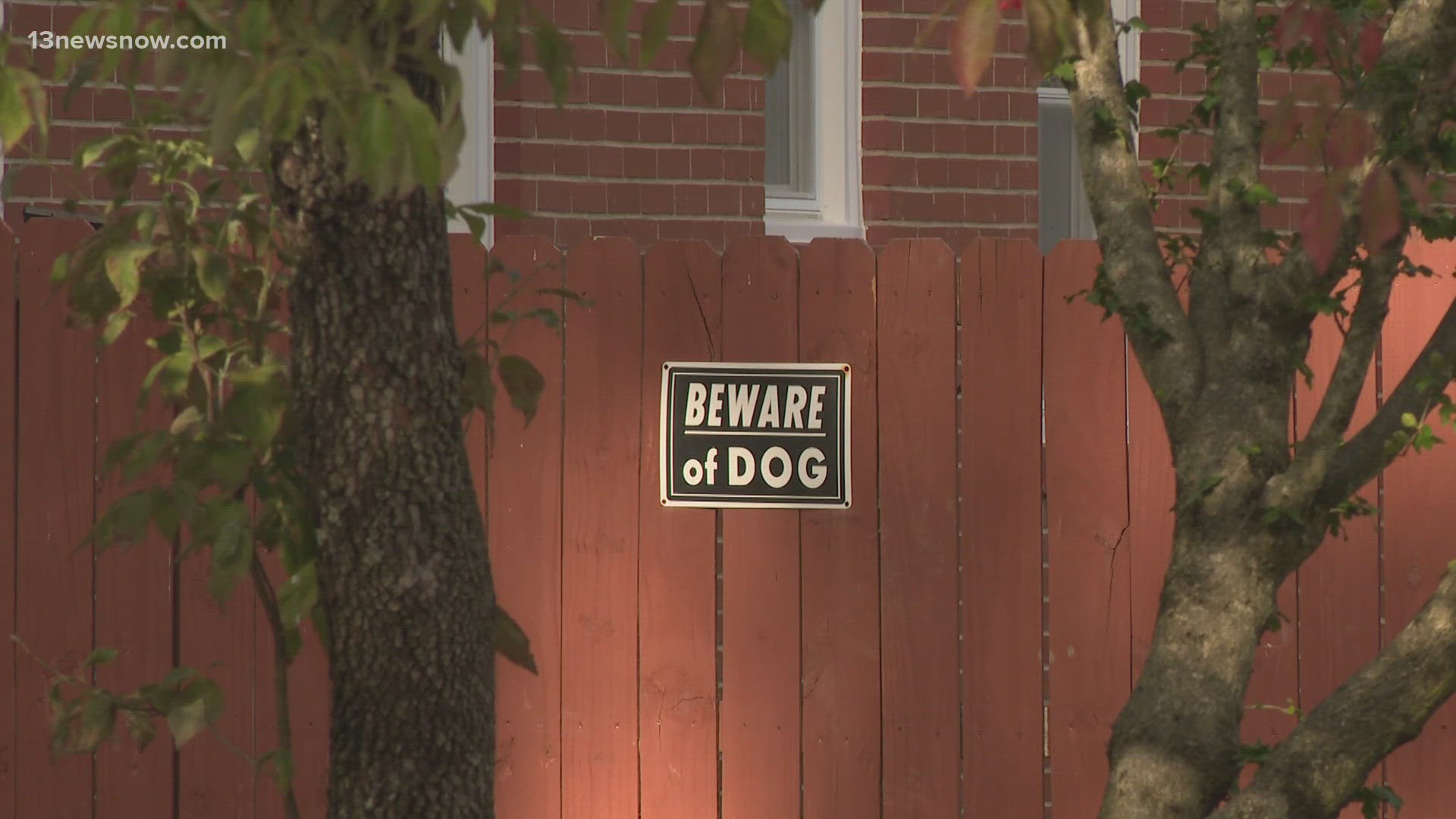 The two dogs, of the breed Dogo Argentino, were taken into custody by Animal Control. Neighbors are hopeful those mauled by the dogs in Newport News will recover.