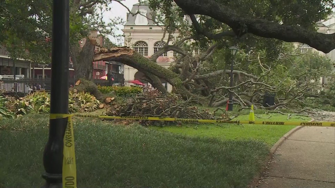 Teen injured by Jackson Square tree still in ICU, family suing city - Vimarsana News