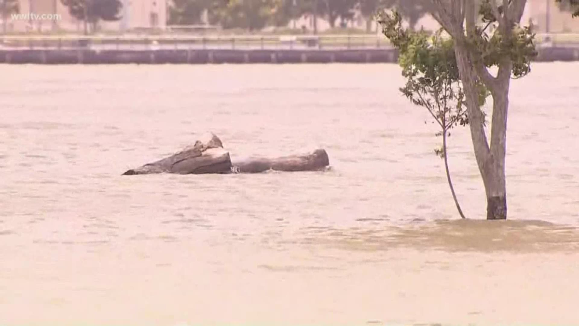 Tropical Storm Barry: "When you've got this much water coming up this quickly, it's scary ... "