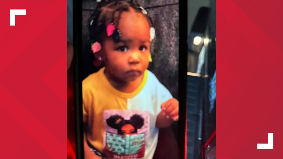 Search Continues Around Lansing For Missing 2 Year Old Girl 8131