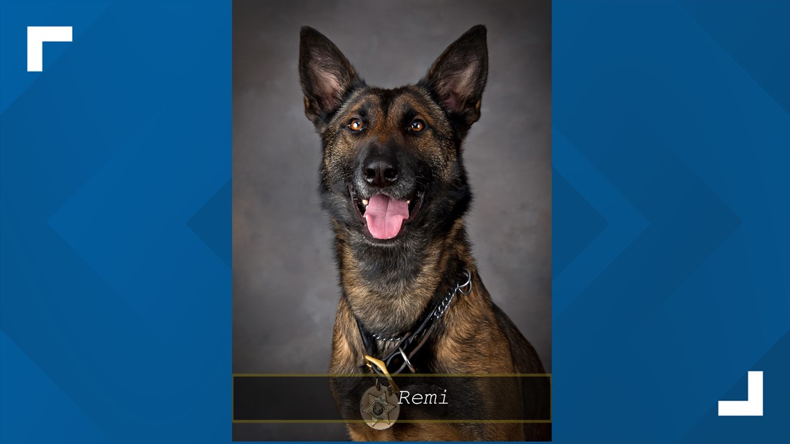 Newaygo Co. Sheriff announces passing of 'beloved' K9 | kens5.com